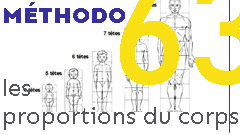 methodo - les proportions du corps